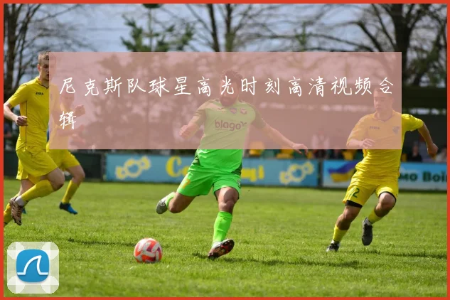 尼克斯队球星高光时刻高清视频合辑